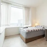 High Floor 2br Downtown With Danube View Balcony Parking Available Appartamento *