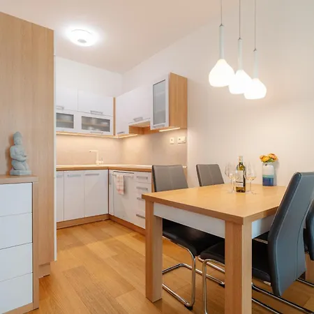 Lejlighed High Floor 2br Downtown With Danube View Balcony Parking Available Bratislava