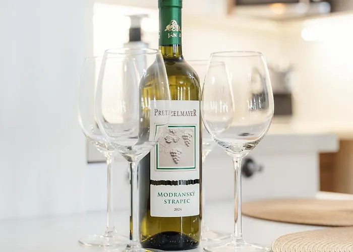 High Floor 2br Downtown With Danube View Balcony Parking Available